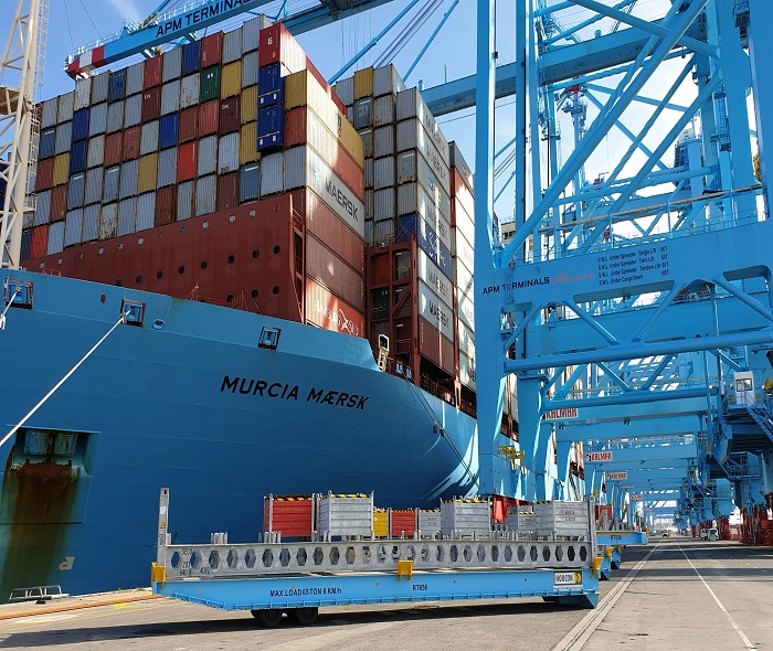 Export & Import Handling